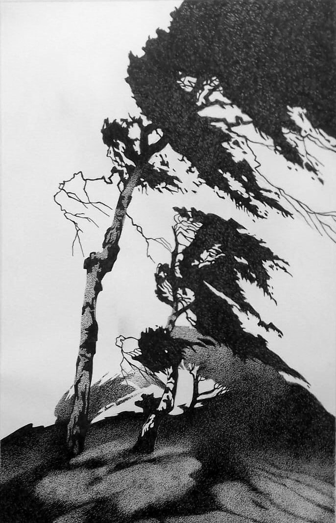 Louis de Jager - Windswept Trees in Landscape